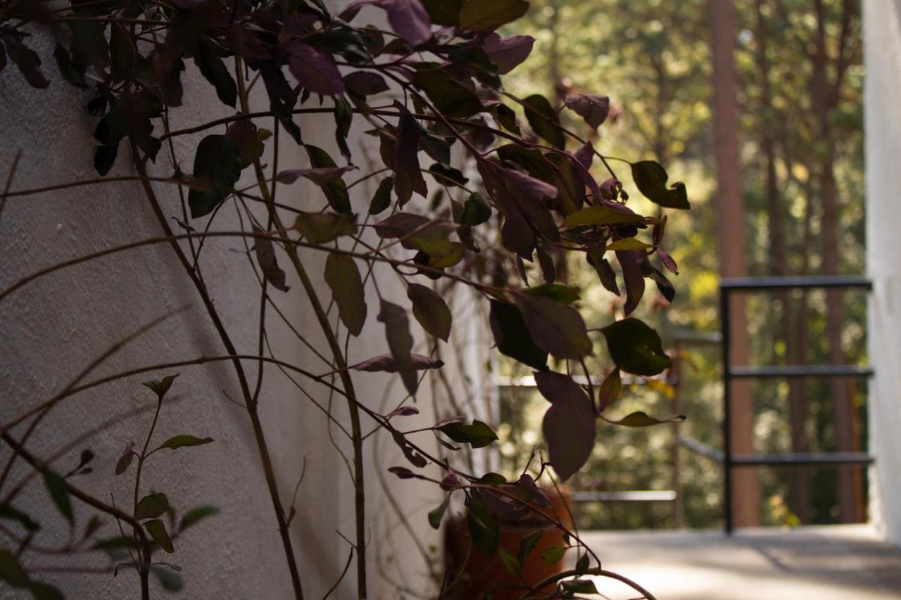Encino House Villa Valle de Bravo Exteriör bild